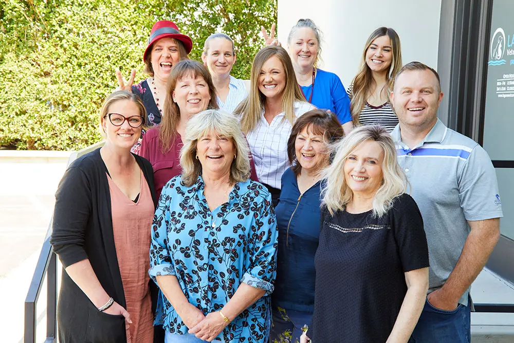 Small Business Team Photographer